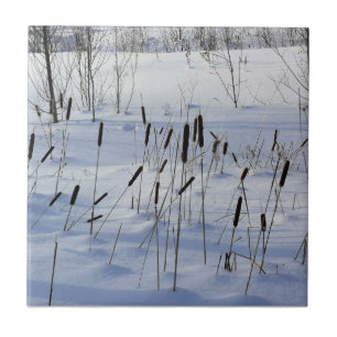 Inverno no Quebec, Canadá