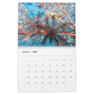 Invertebrados do Calendário de Calender de Fiji 2