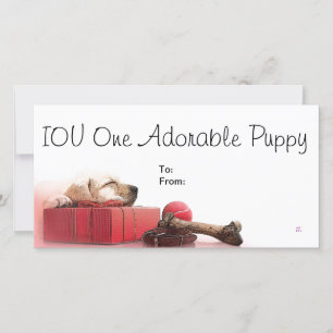 IOU One Adorable Puppy
