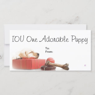 IOU One Adorable Puppy
