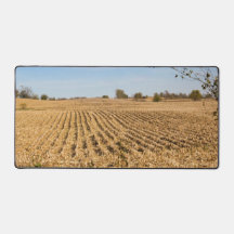 Iowa Cornfield Nature Scenery Panorama Fotografia