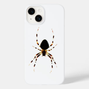 ipha aranha