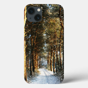iphcn da cena de neve da floresta