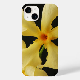 iphcnm da ventoinha jasmim estelar
