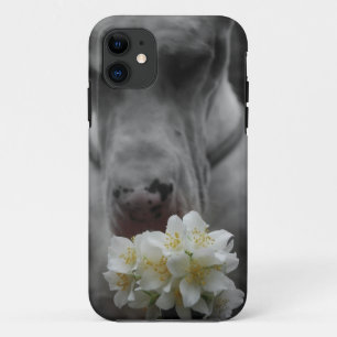 iPhone 11 Capa pessoal para smartphone novo