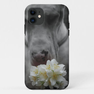 iPhone 11 Capa pessoal para smartphone novo