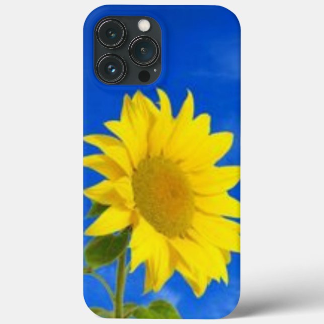 iPhone 13 pro max case (Verso)