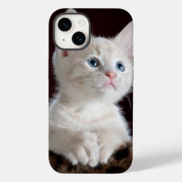 iphone 14 capas amor de gato