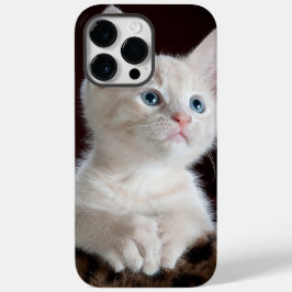 iphone 14 capas pro max cat love