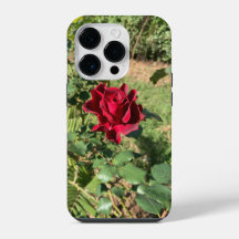 iPhone 14 Pro de Rosa vermelha profunda