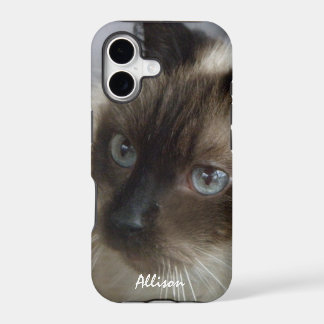 iPhone 5: Caixa Siamese personalizada do gatinho