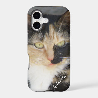 iPhone 5: Estojo Personalizado Gatinho Calico