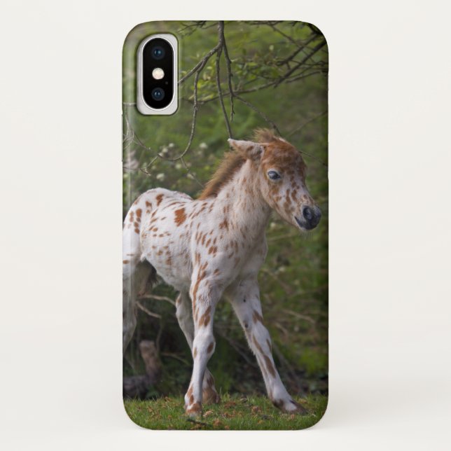 iPhone, Case-Mate Capa Freckles para iPhone X (Verso)