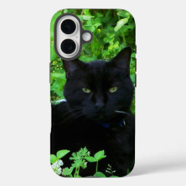 iPhone Cat Preto / iPad case