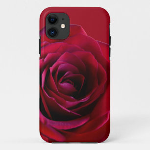 iPhone da rosa vermelha 5 capas de iphone