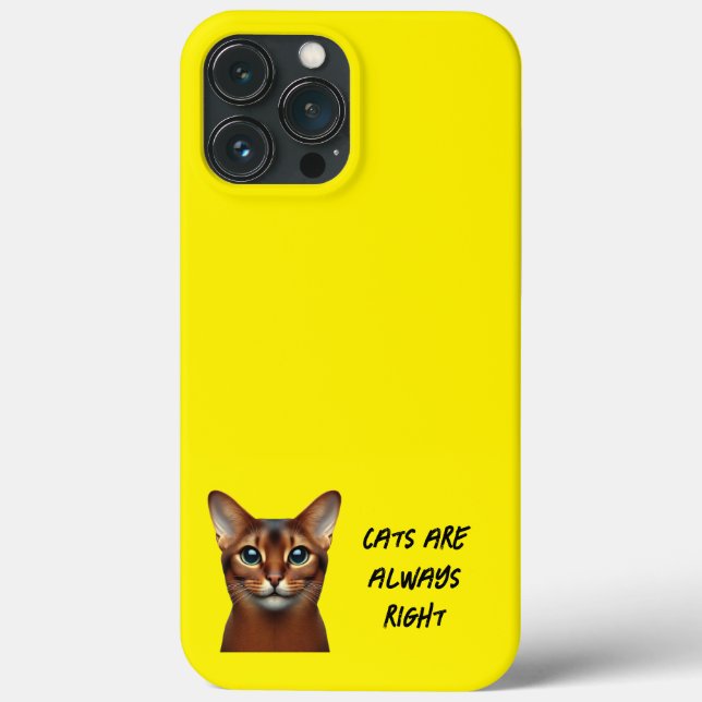 iPhone / iPad case (Verso)