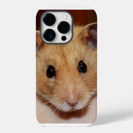 iPhone / iPad de Hamster Doce