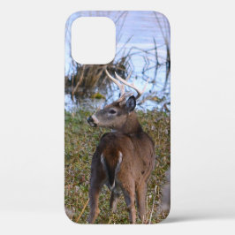 iPhone / iPad do Whitetail Buck