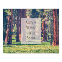 Ir para a floresta | POSTER