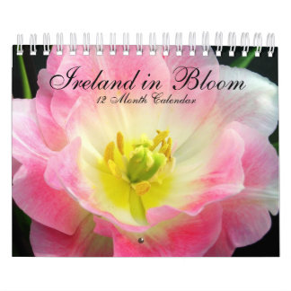 Ireland no calendário da flor