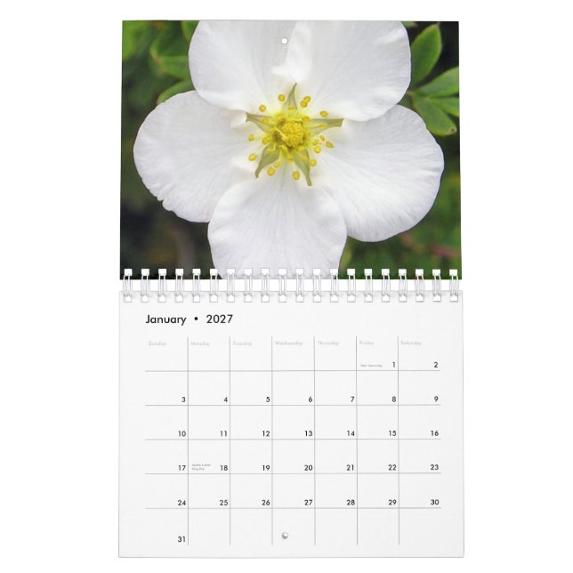 Ireland no calendário da flor (Jan 2027)