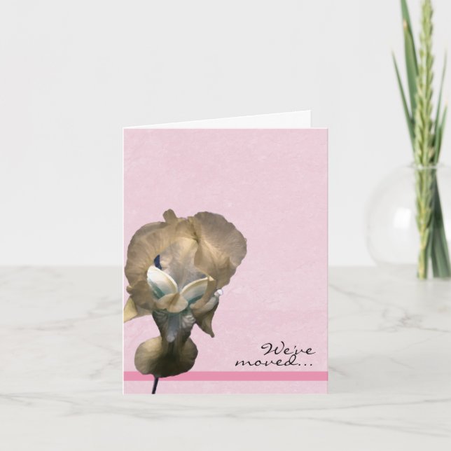 Íris Amarelo, nós mudamos o anúncio (Frente)