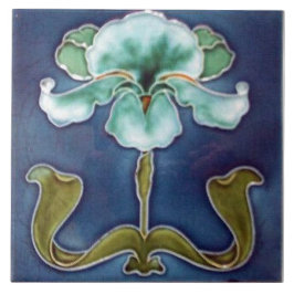 Íris Azul Flor Eterna