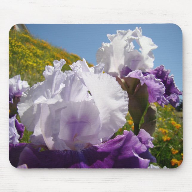 Íris Branca Flor de Íris Roxa mousepad Encosta (Frente)
