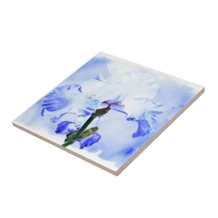 Íris Com Mancas - Azul E Branco