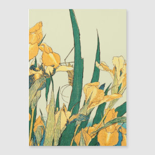 Iris de gafanhoto de Hokusai: Impressão japonesa v