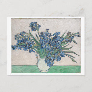 Íris de Vincent Van Gogh Cartão Postal Floral