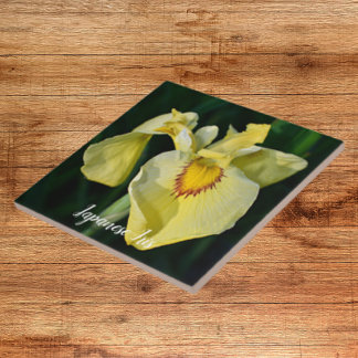 Iris Floral Amarelo Japonês