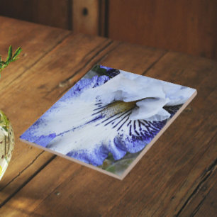 Íris Floral Barbada Azul e Branco