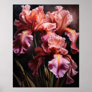 Iris Flores Rosa Impressão