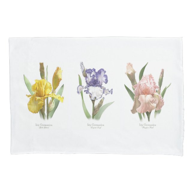 Iris Flower Garden (Frente)