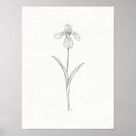 Iris Flower Sketch Impressão