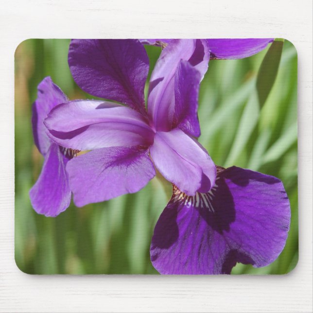 Iris Mousepad (Frente)