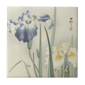Íris por Ohara Koson