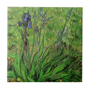 Íris por Vincent van Gogh, Flores de Jardim Antiga