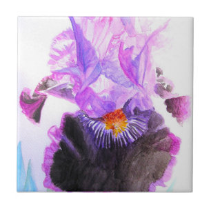 Íris Roxa Flor de Aquarela Floral Aniversário