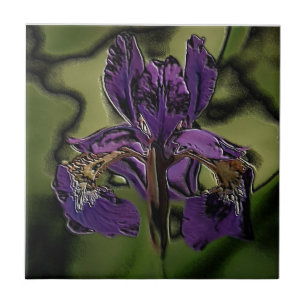 Íris Roxo