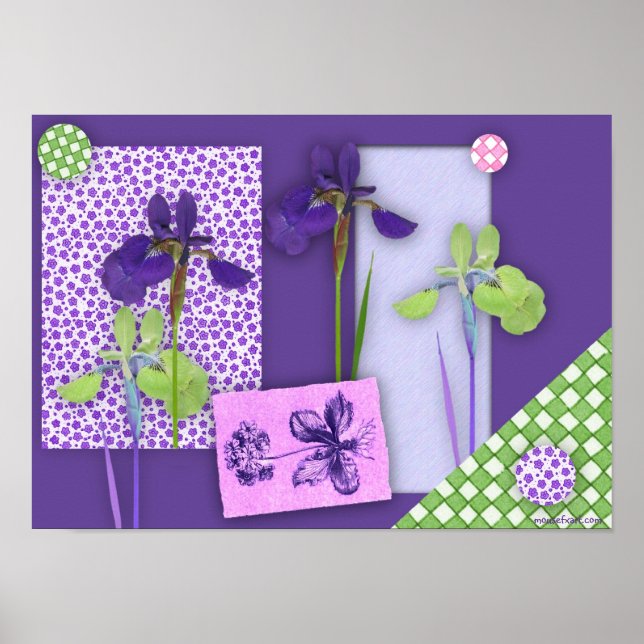 Iris Scrapbook Poster (Frente)