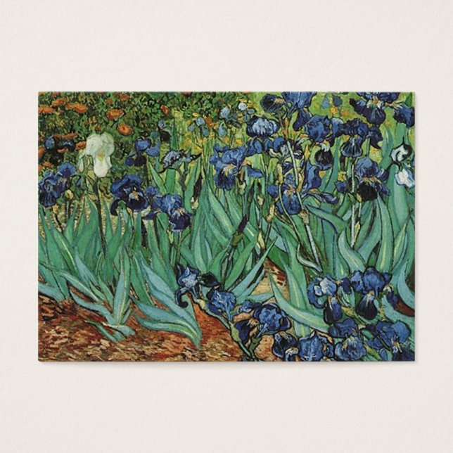 Íris Vincent van Gogh (Frente)