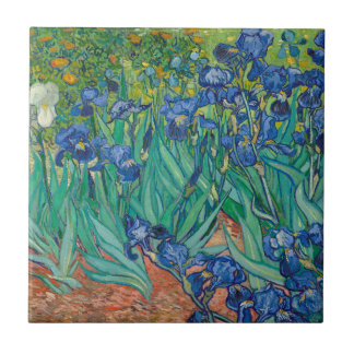 Irises, 1889
