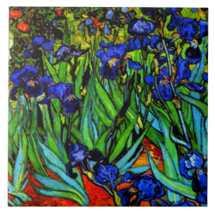 Irises, a famosa pintura floral de Van Gogh