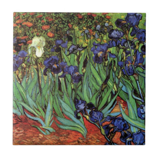 Írises de Vincent van Gogh, Arte do Jardim de Vint