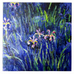 Irises, famosa pintura floral de Claude Monet<br><div class="desc">Írises,  lindas flores pintadas pelo artista impressionista Claude Monet</div>