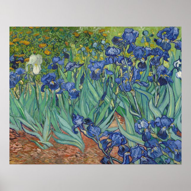 Irises Poster (Frente)