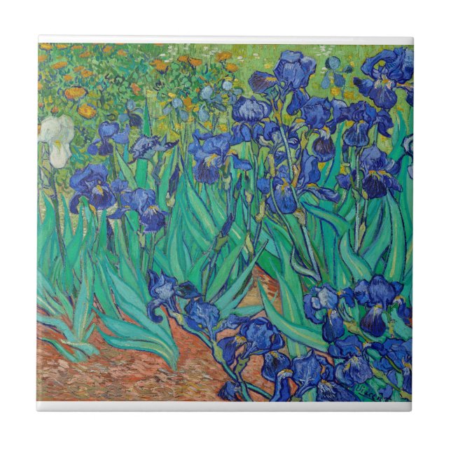 Irises Vincent Van Gogh (Frente)