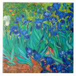 Irises, Vincent van Gogh<br><div class="desc">Vincent Willem van Gogh (30 de março de 1853 - 29 de julho de 1890) foi um pintor holandês impressionista poste que se encontra entre as figuras mais famosas e influentes da história da arte ocidental. Em pouco mais de uma década, criou cerca de 2.100 trabalhos de arte, incluindo cerca...</div>